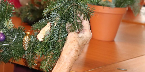  Berufliche Schule des Kreises Stormarn in Bad Oldesloe