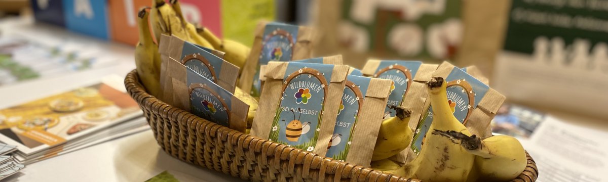 BNE-Aktionstag und Sportfest Berufliche Schule des Kreises Stormarn in Bad Oldesloe